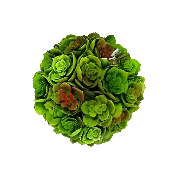succulent ball